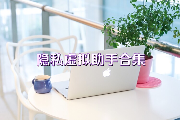 隐私虚拟助手合集