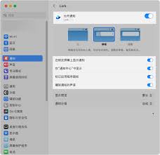 Lark消息显示异常如何解决