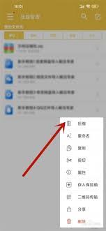 解压专家解压后的文件在哪里打开