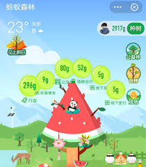 支付宝蚂蚁森林怎么涨得快