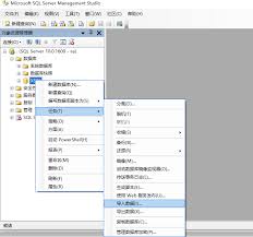 如何使用SQL Server 2008数据库