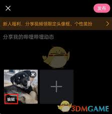 哔哩哔哩发布视频如何添加主题