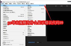pr导出视频显示错误代码99的原因