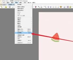 XnView中如何启用自动修剪功能