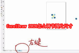 CorelDraw 2020如何调节图片尺寸