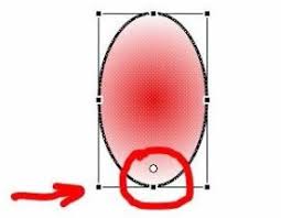 Macromedia Flash 8怎么画一朵花