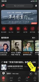 苹果手机网易云歌词如何显示在屏幕上