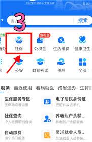 支付宝养老金待遇测算准不准