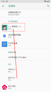 雷跳跳如何开启无障碍模式