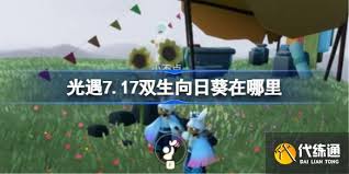 光遇有友节双生向日葵位置在哪