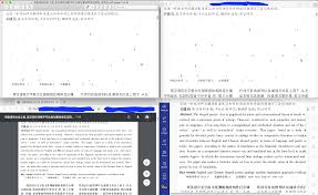 Safari在线预览PDF空白怎么办