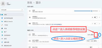 LarkAPP字体大小异常如何调整显示
