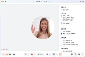 Lark视频通话花屏如何解决