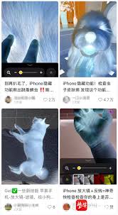 iPhone能检查宠物身上有虫子吗