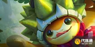 天才龙龟阵容如何搭配