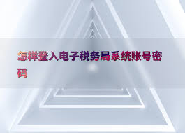 电子税务局网页版登录入口在哪