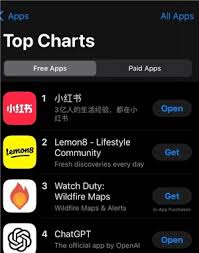 小红书国际版叫什么