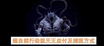 超自然行动组小狐狸攻略是什么