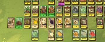 炼金之道如何获取全种子