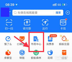 小孩出生证明在支付宝哪里查