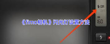 fimo闪光灯在哪
