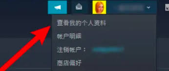 如何查看steam账号的17位ID码