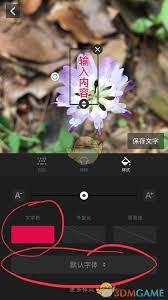 天天向商字体如何修改