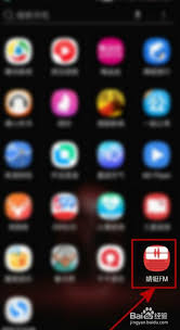 蜻蜓FM如何设置移动流量播放