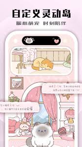 鲜柚桌面APP白屏闪退如何解决