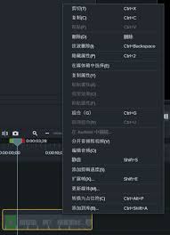 Camtasia Studio如何进行变焦