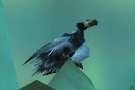 魔兽世界wlk哪里能抓到猛禽