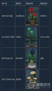 奇异园艺第三天怎么通关