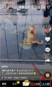 抖音在哪看可能认识的人