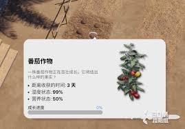 inzoi海岛假期种地方法是什么