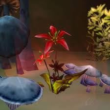 魔兽世界红色木槿有啥作用