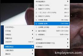 kmplayer plus如何实现全屏