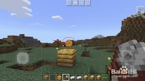 我的世界如何获取蜂蜜