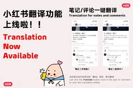 小红书翻译功能在哪