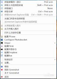 Greenshot如何设置中文