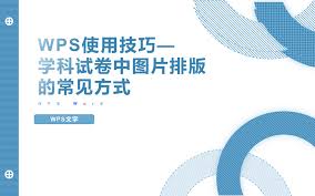 WPS文字如何插入斜纹图形