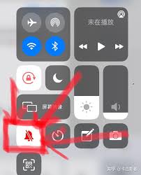 苹果iPad玩游戏没声音怎么解决