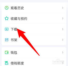 爱奇艺如何播放本地视频