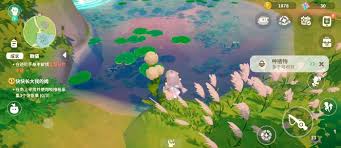 米姆米姆哈米姆捕捉位置在哪