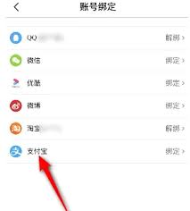 大麦app如何绑定支付宝