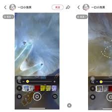 iphone如何使用检查虫子功能