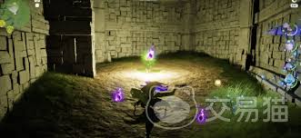 伊莫宠物如何捕捉