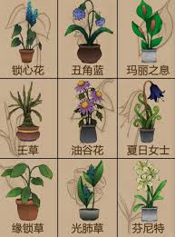 奇异园艺植物图鉴大全是什么