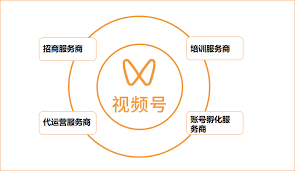 达人直播视频号卖什么类目好