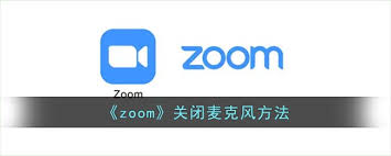 如何关闭Zoom视频会议的麦克风
