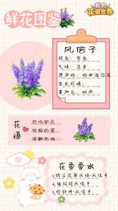 我的花园世界零氪如何入门养成